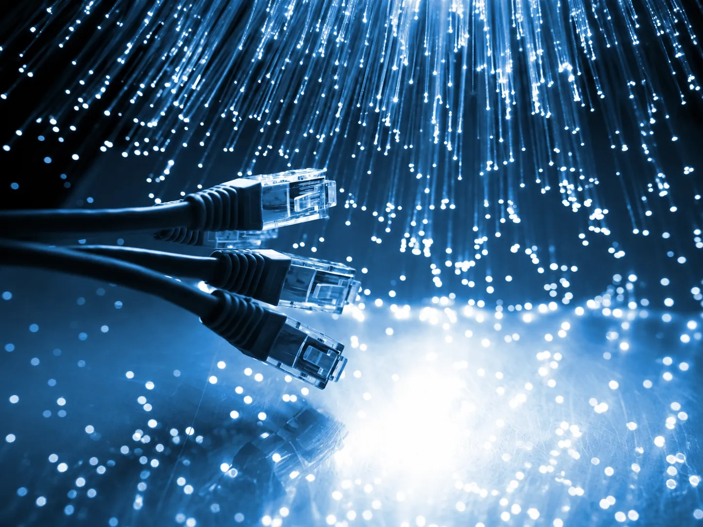 Conectores de red y haz de hilos de fibra óptica iluminados